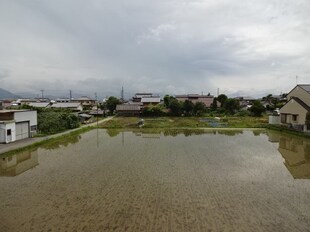 Mｅｌａ ｒｏｓｓａの物件内観写真